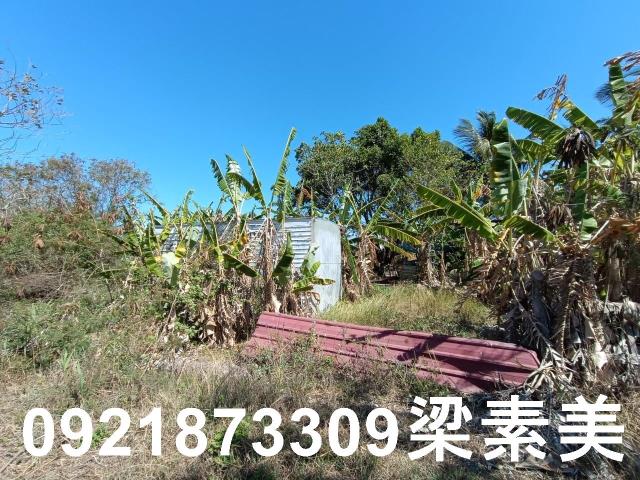 台南農地-4