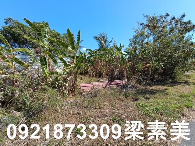 台南農地-5