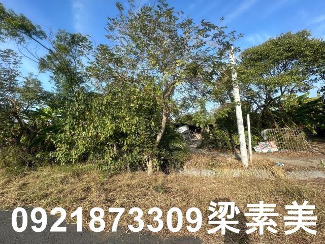 台南農地-8