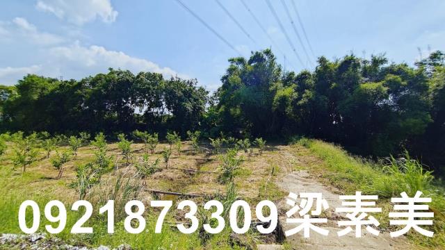 玉井農地-2