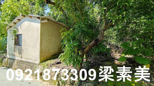 玉井農地-4