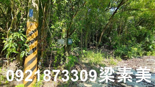 玉井農地-5