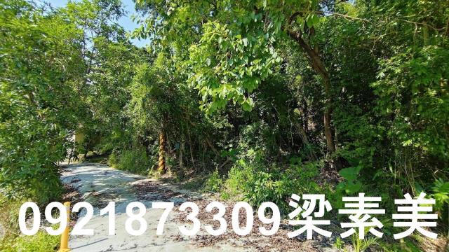 玉井農地-6