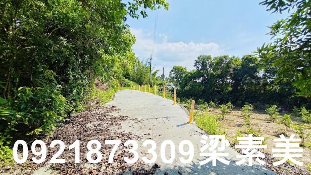 玉井農地-7