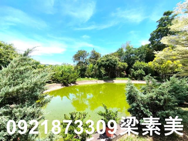 台南農地-14