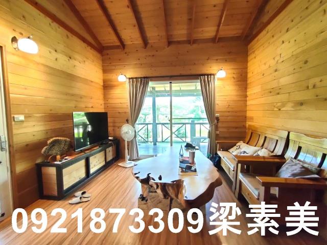 台南農地-2