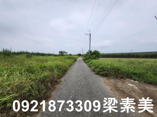 台南新化農地-1