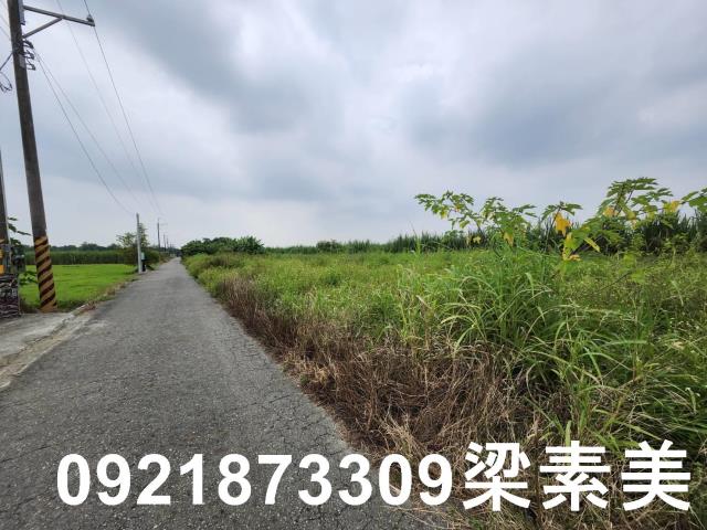 台南新化農地-2