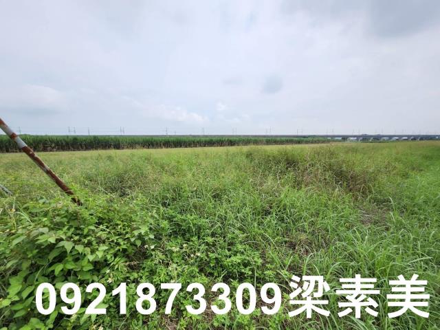 台南新化農地-3