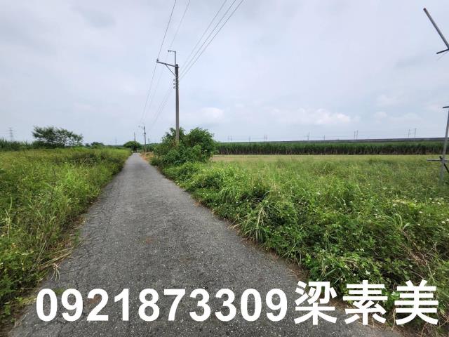 台南新化農地-4