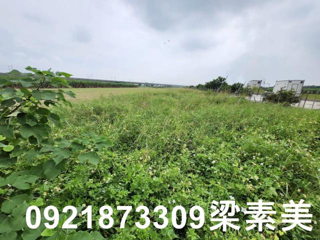 台南新化農地-5