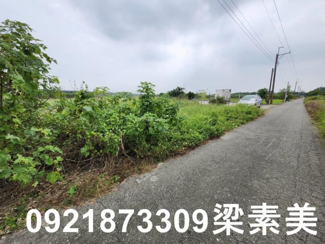 台南新化農地-6