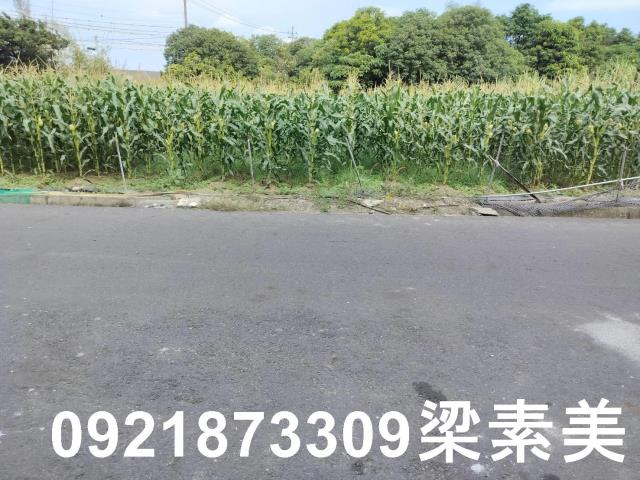 台南安定農地-1