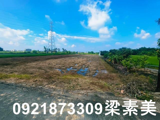 六甲農地-4