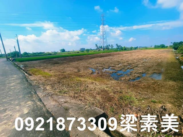六甲農地-5