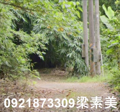玉井農地-0