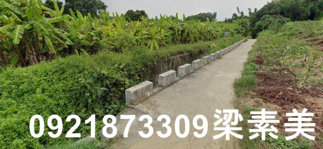 玉井農地-2