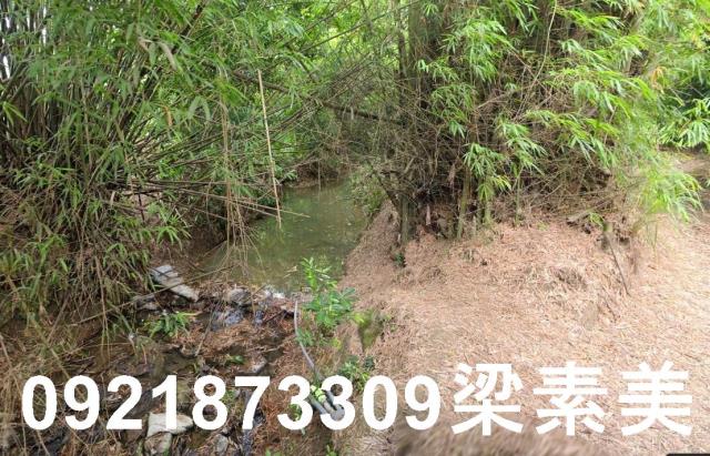 玉井農地-5