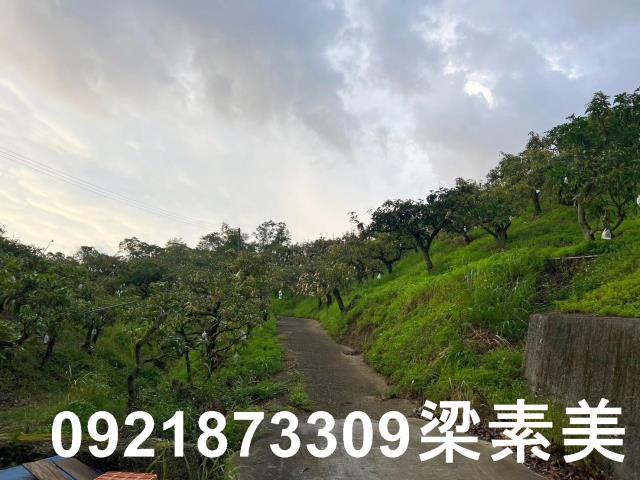 玉井農地-10