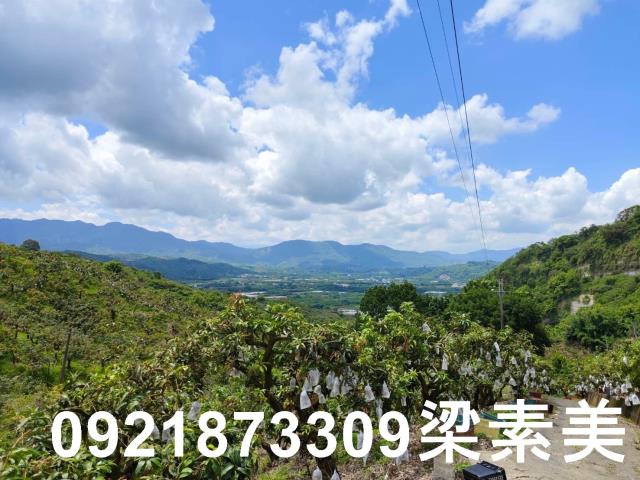 玉井農地-11