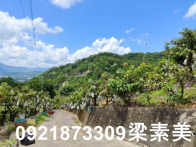 玉井農地-0