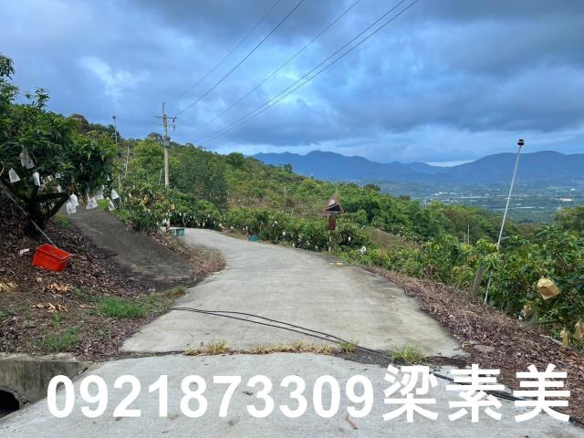玉井農地-3