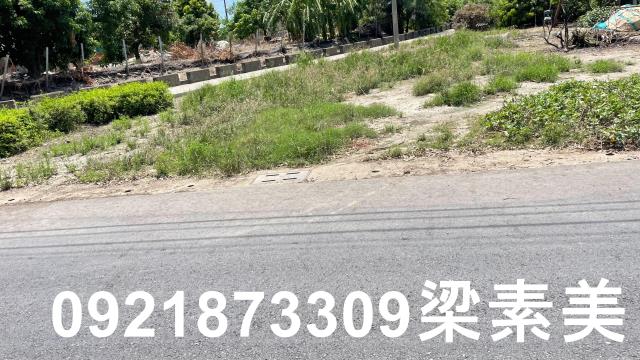 學甲農地-9