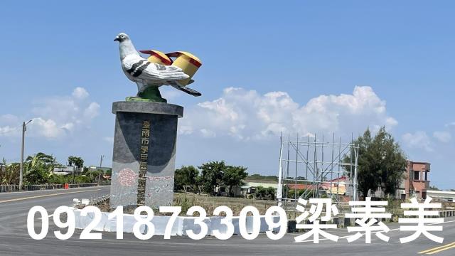 學甲農地-6