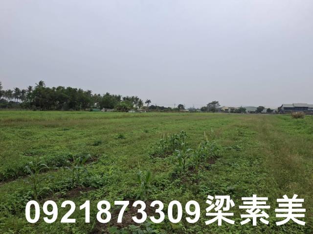 台南農地-0