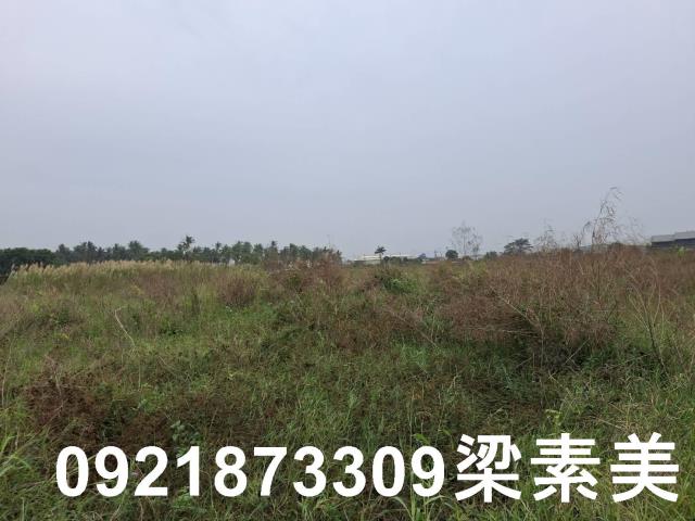 台南農地-2