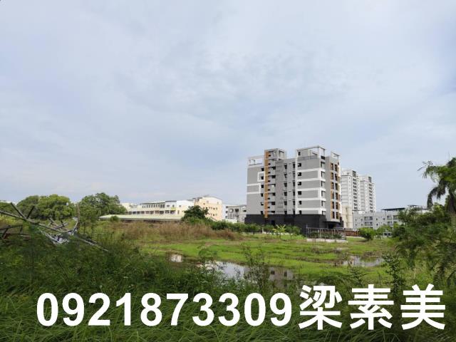 台南新市農地-2