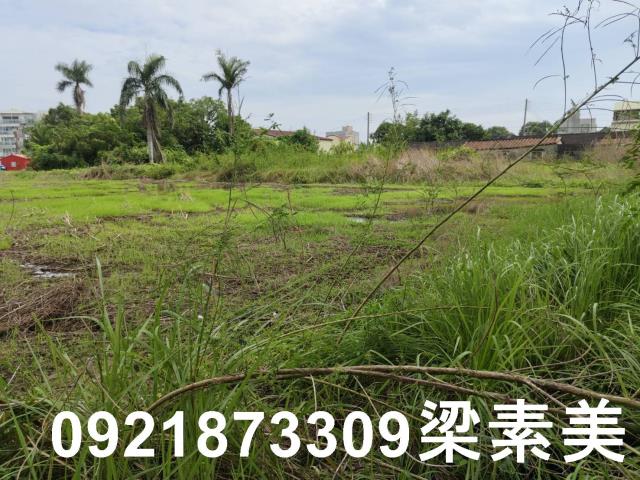 台南新市農地-4