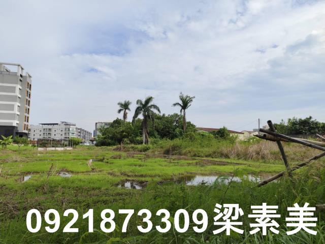 台南新市農地-5