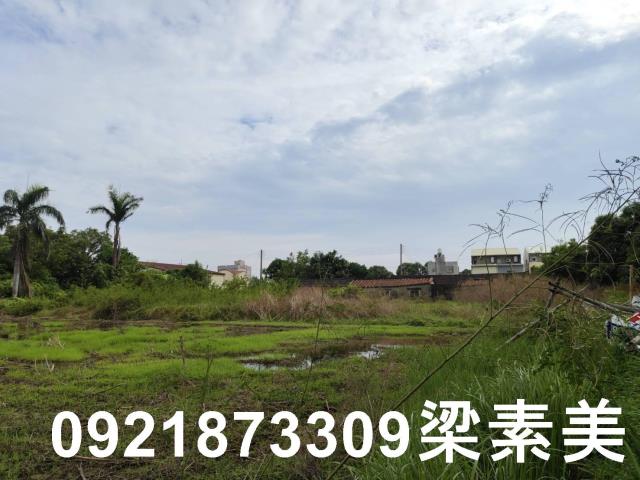 台南新市農地-6