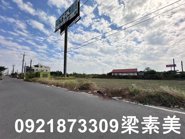 麻豆農地-4