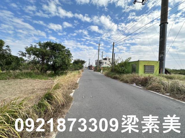 麻豆農地-5