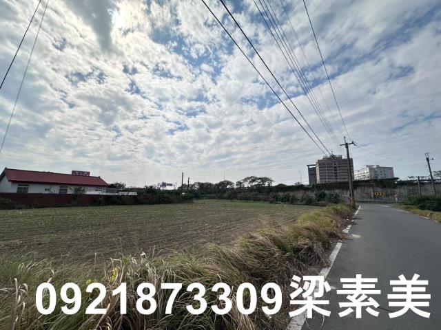 麻豆農地-6