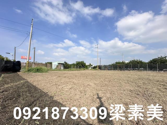 麻豆農地-0