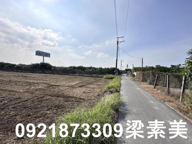 麻豆農地-2