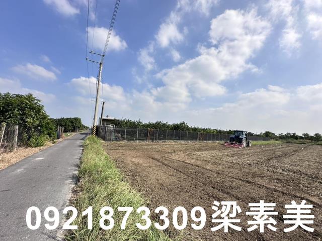 麻豆農地-5