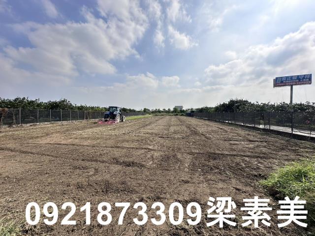 麻豆農地-6