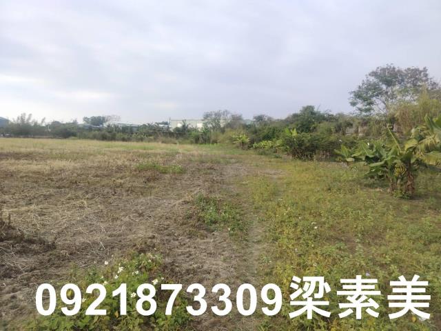 歸仁農地-2