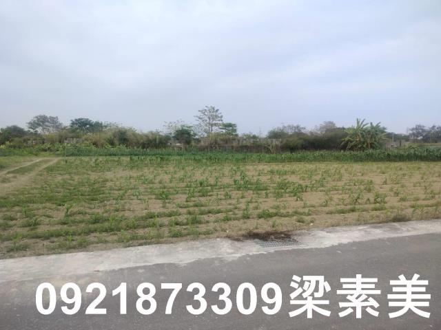 歸仁農地-4