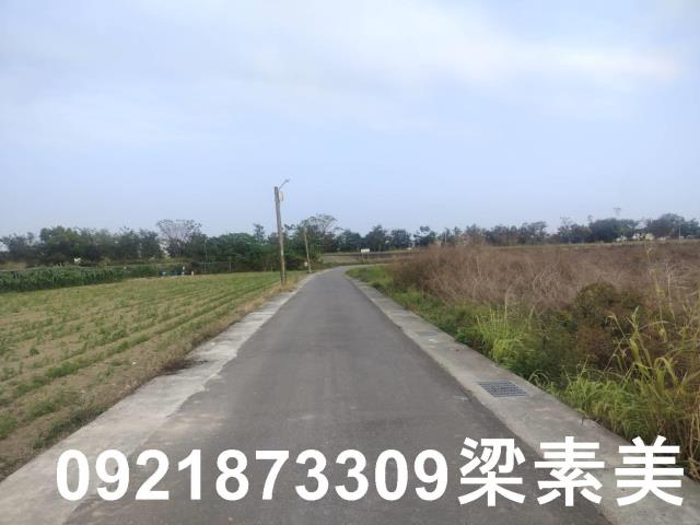 歸仁農地-6