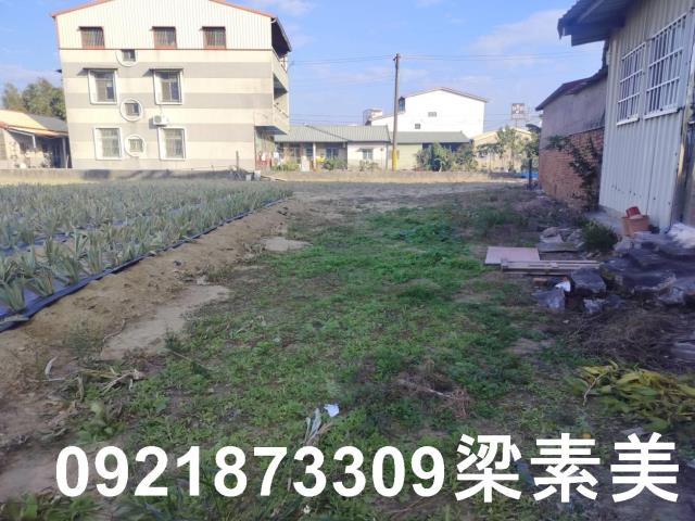 歸仁農地-2