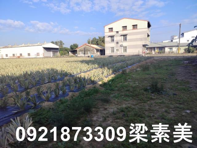 歸仁農地-4
