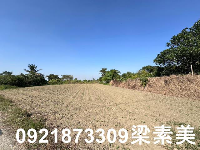 新化農地-1