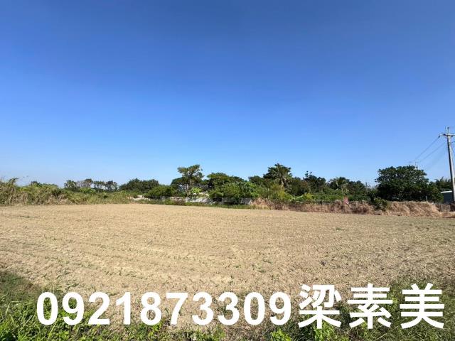 新化農地-4