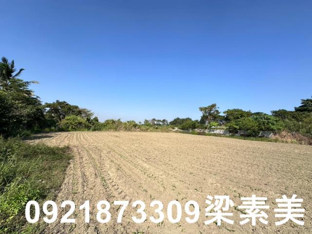 新化農地-6