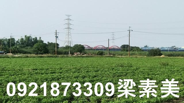 善化農地-10